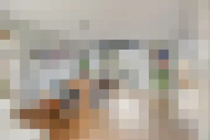 Bosven 307 Veghel thumbnail 13