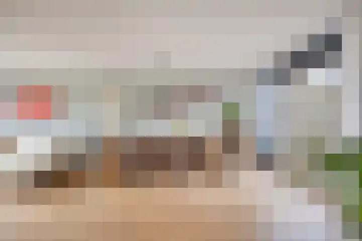 Bosven 307 Veghel thumbnail 15
