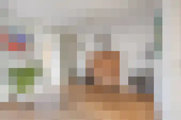 Bosven 307 Veghel thumbnail 17