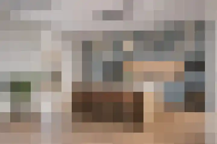 Bosven 307 Veghel thumbnail 18