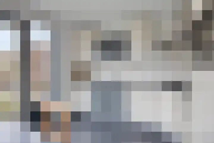 Bosven 307 Veghel thumbnail 20