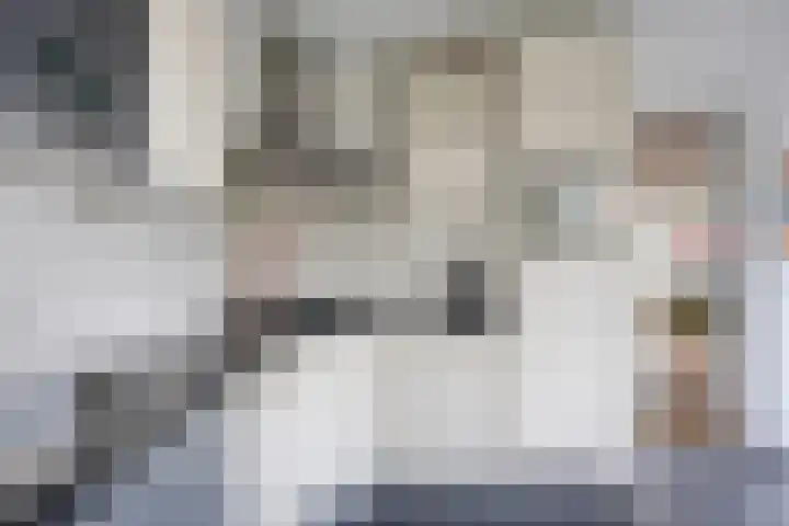 Bosven 307 Veghel thumbnail 21