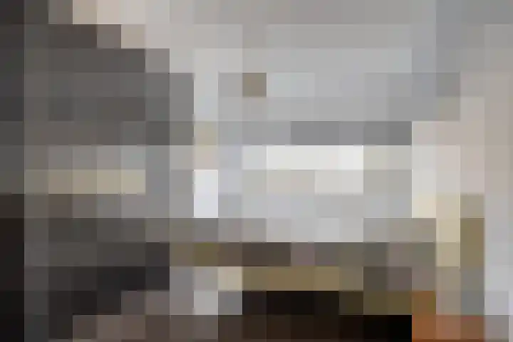 Bosven 307 Veghel thumbnail 27