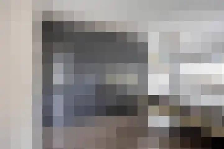 Bosven 307 Veghel thumbnail 29
