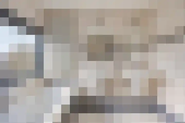 Bosven 307 Veghel thumbnail 31