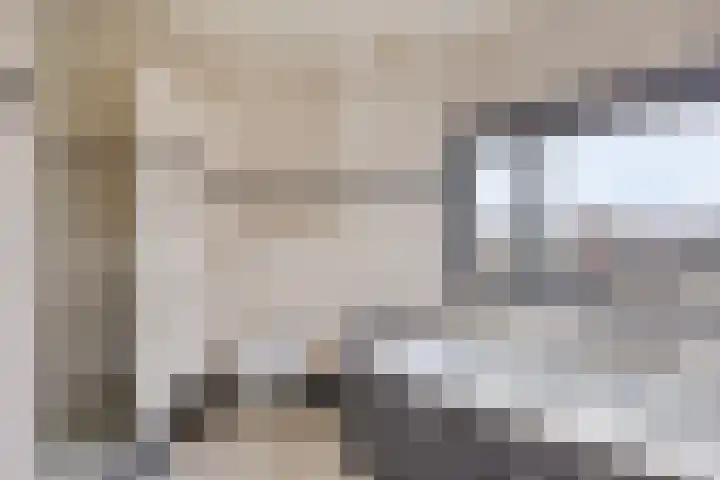 Bosven 307 Veghel thumbnail 32