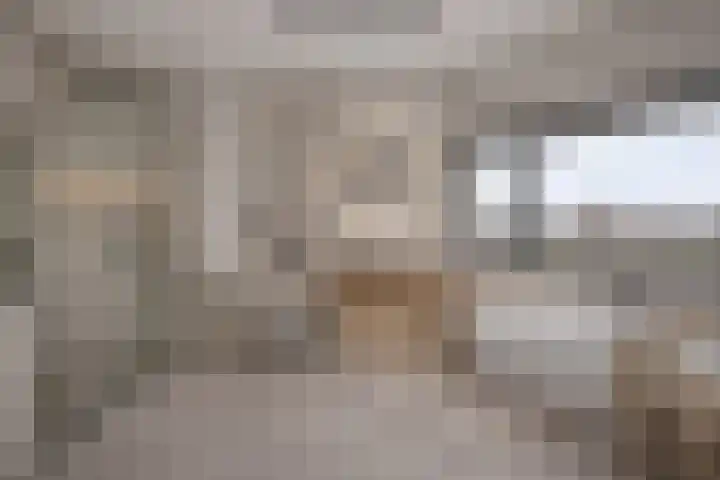 Bosven 307 Veghel thumbnail 33