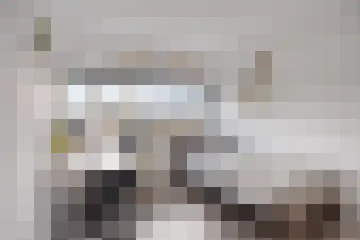 Bosven 307 Veghel thumbnail 37