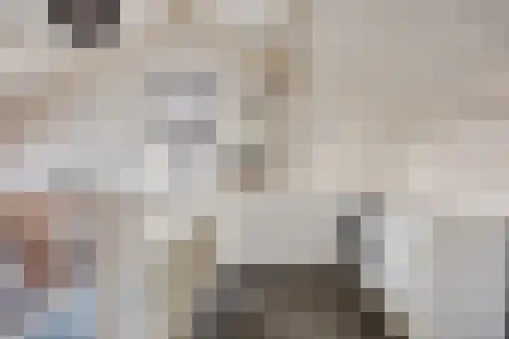 Bosven 307 Veghel thumbnail 41
