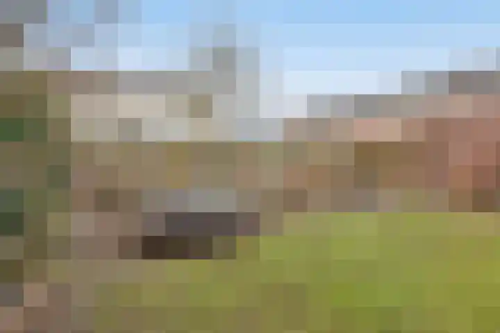 Bosven 307 Veghel thumbnail 47