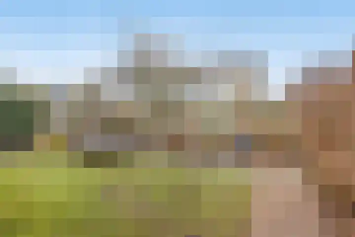 Bosven 307 Veghel thumbnail 48