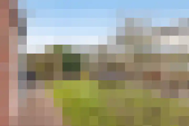Bosven 307 Veghel thumbnail 49