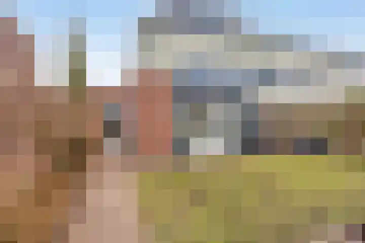 Bosven 307 Veghel thumbnail 50