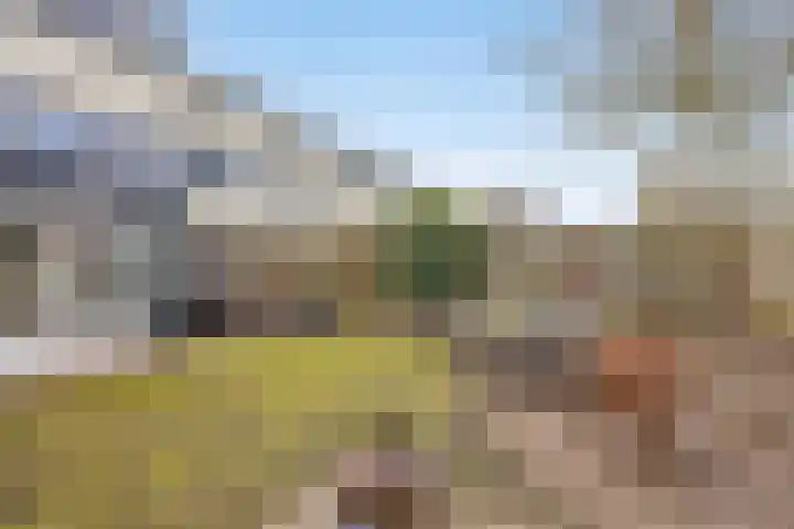 Bosven 307 Veghel thumbnail 51