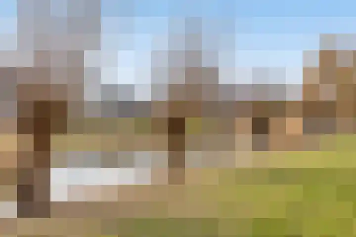 Bosven 307 Veghel thumbnail 57