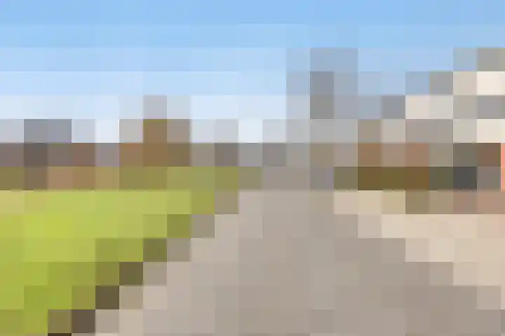 Bosven 307 Veghel thumbnail 58