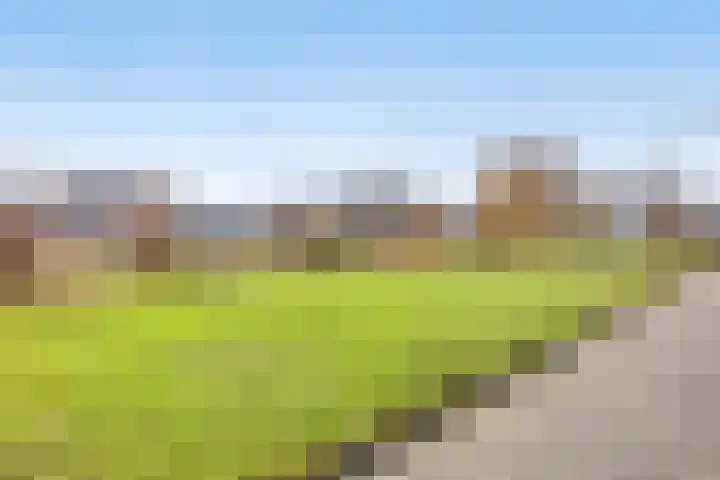 Bosven 307 Veghel thumbnail 59
