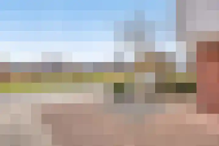 Bosven 307 Veghel thumbnail 6