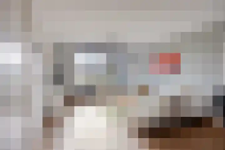 Bosven 307 Veghel thumbnail 9