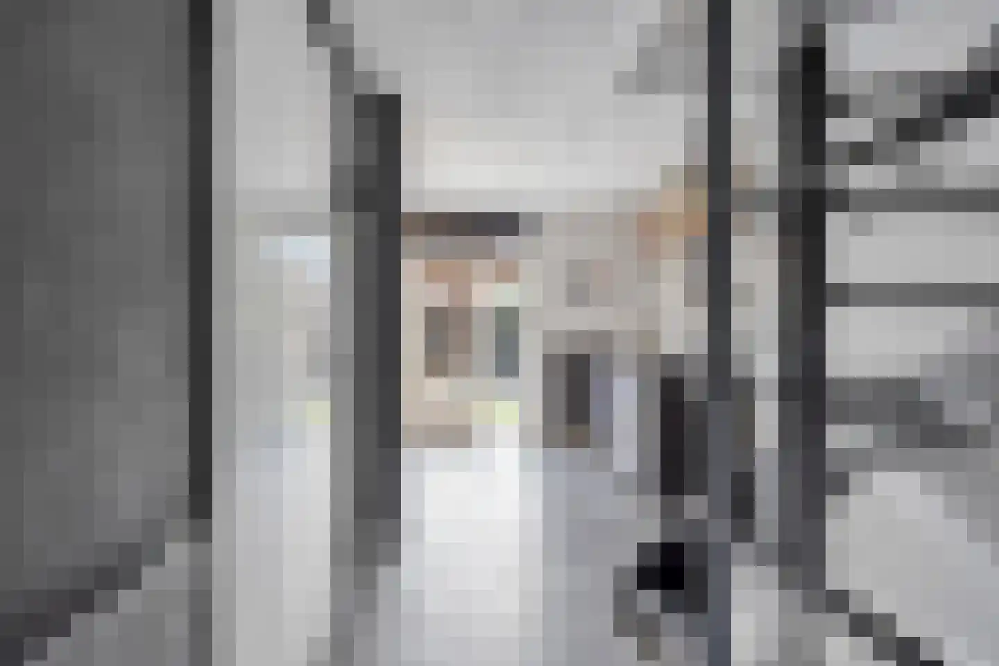 Bosven 4 Veghel thumbnail 10