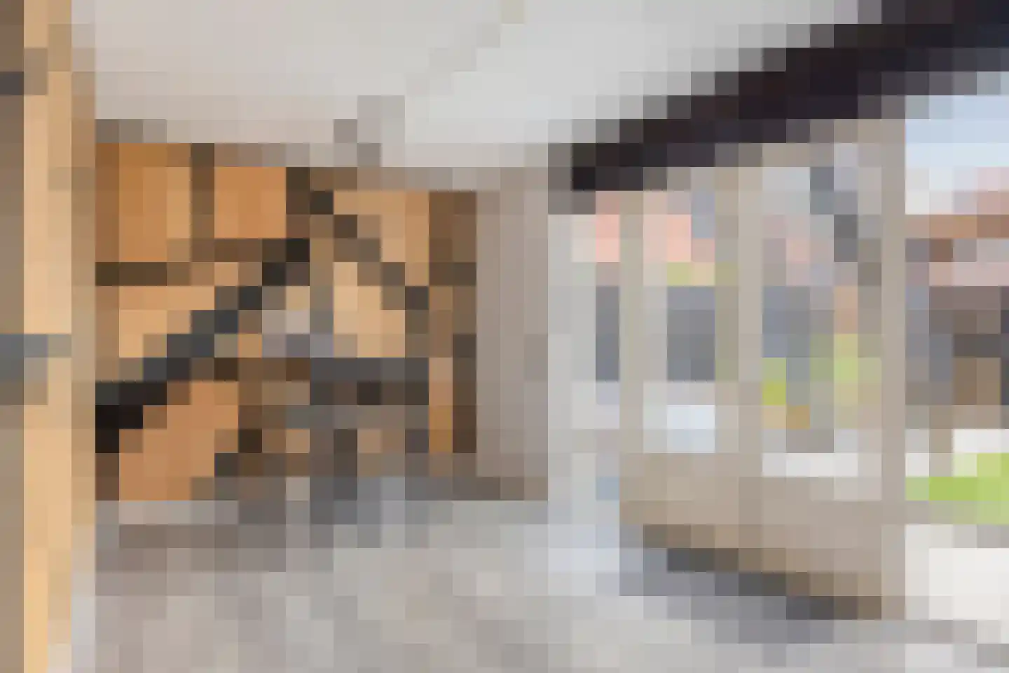 Bosven 4 Veghel thumbnail 14