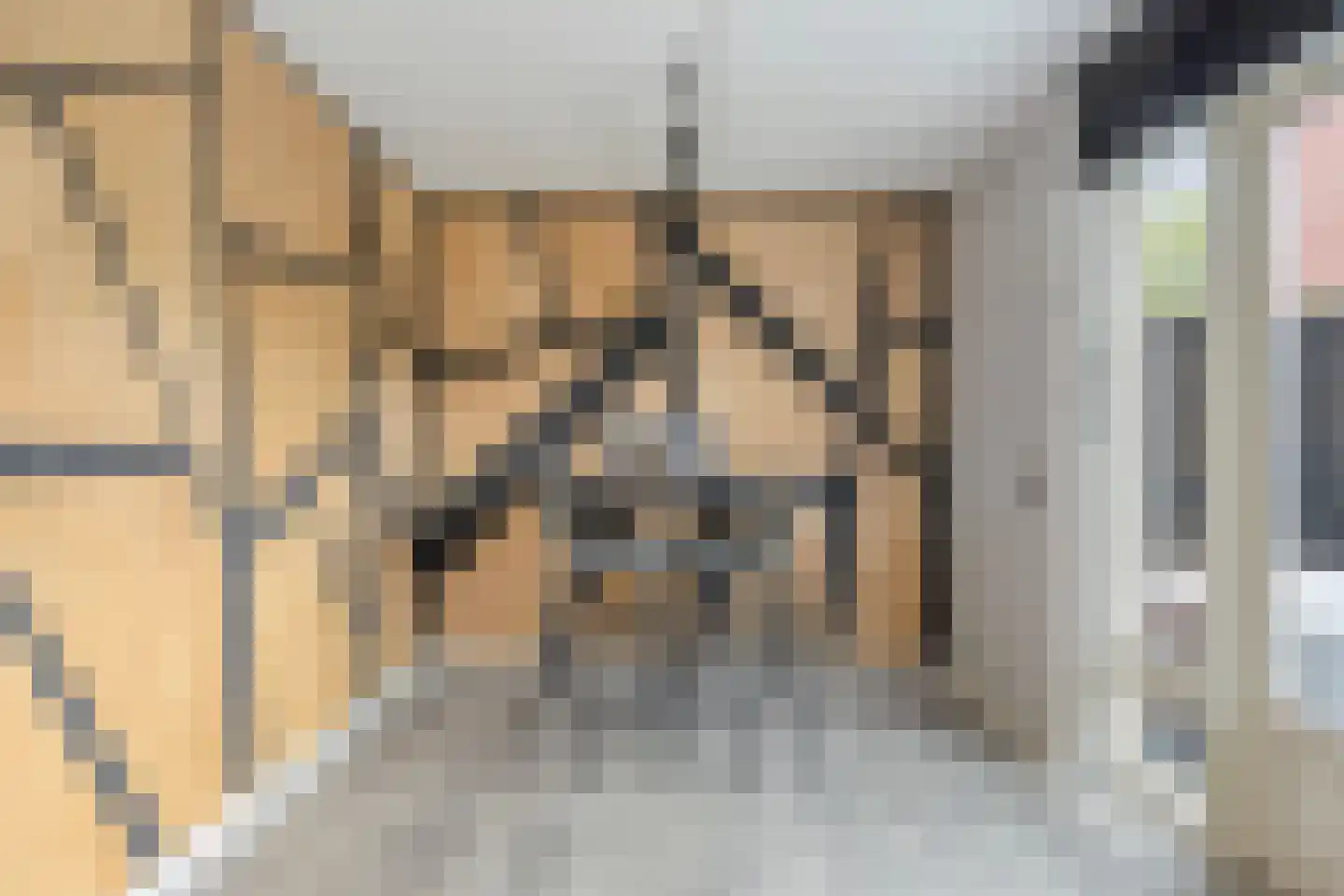 Bosven 4 Veghel thumbnail 15