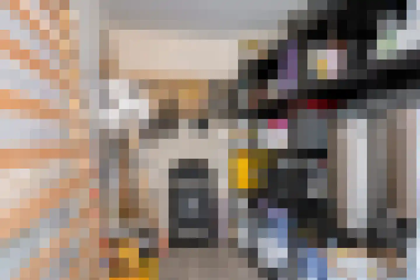 Bosven 4 Veghel thumbnail 19