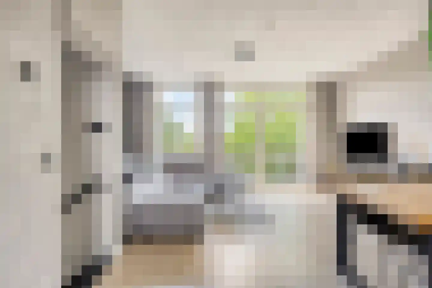 Bosven 4 Veghel thumbnail 20