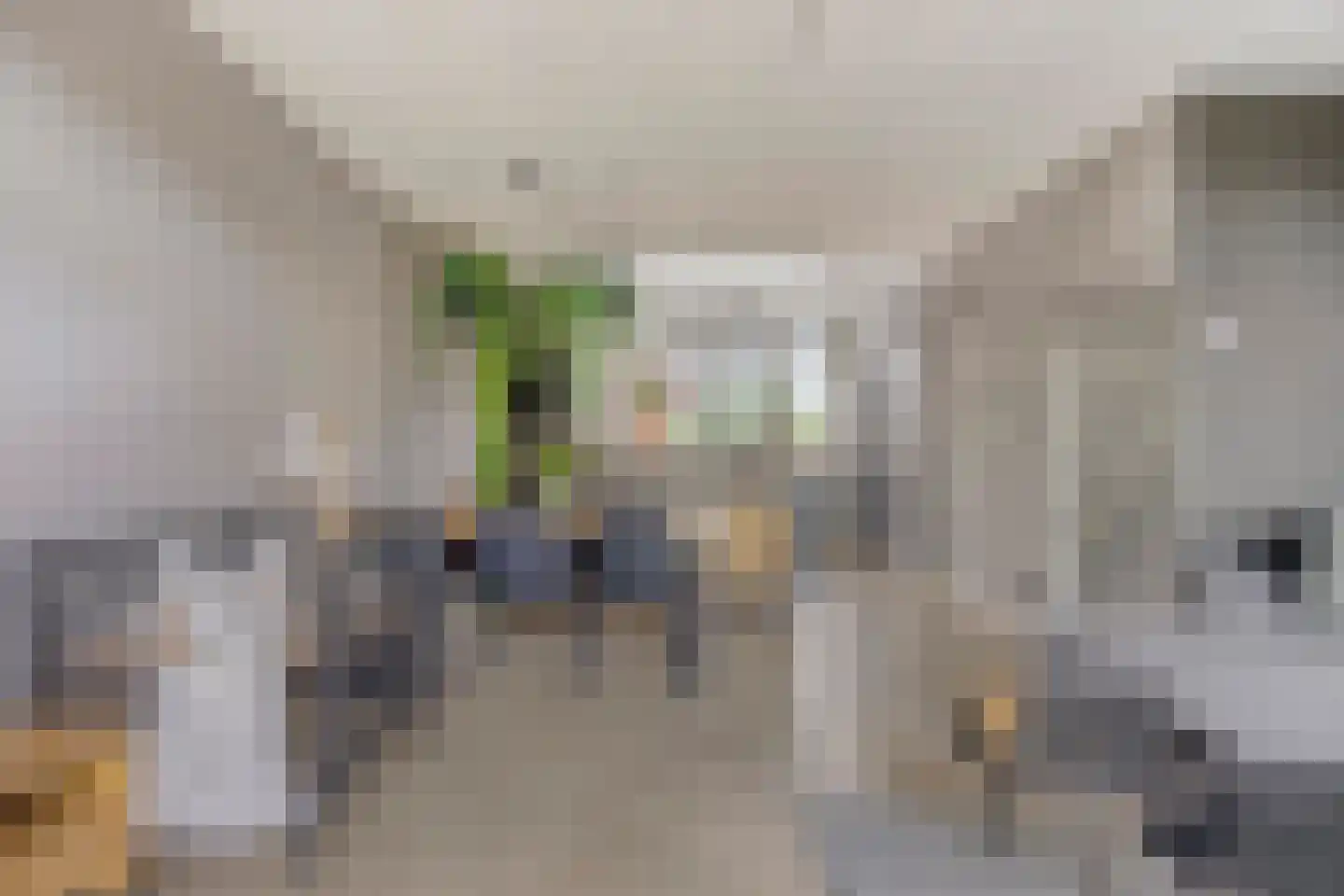 Bosven 4 Veghel thumbnail 22