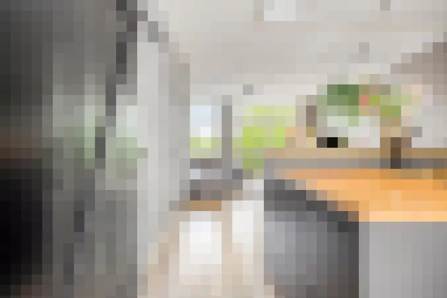 Bosven 4 Veghel thumbnail 28