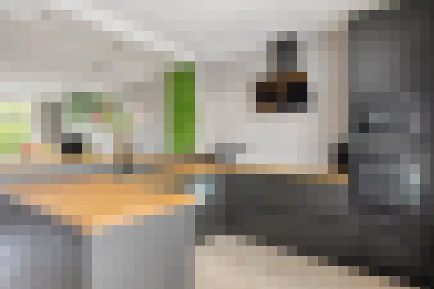 Bosven 4 Veghel thumbnail 29