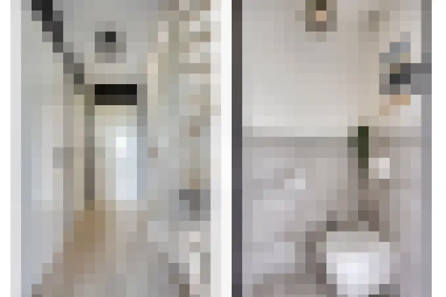 Bosven 4 Veghel thumbnail 35