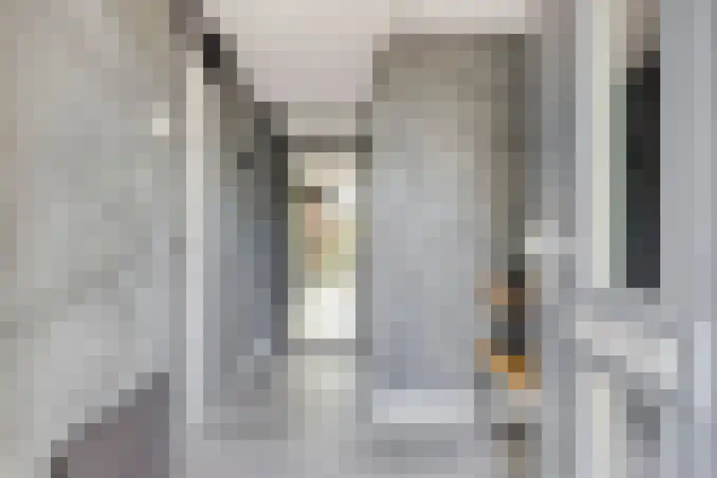 Bosven 4 Veghel thumbnail 4