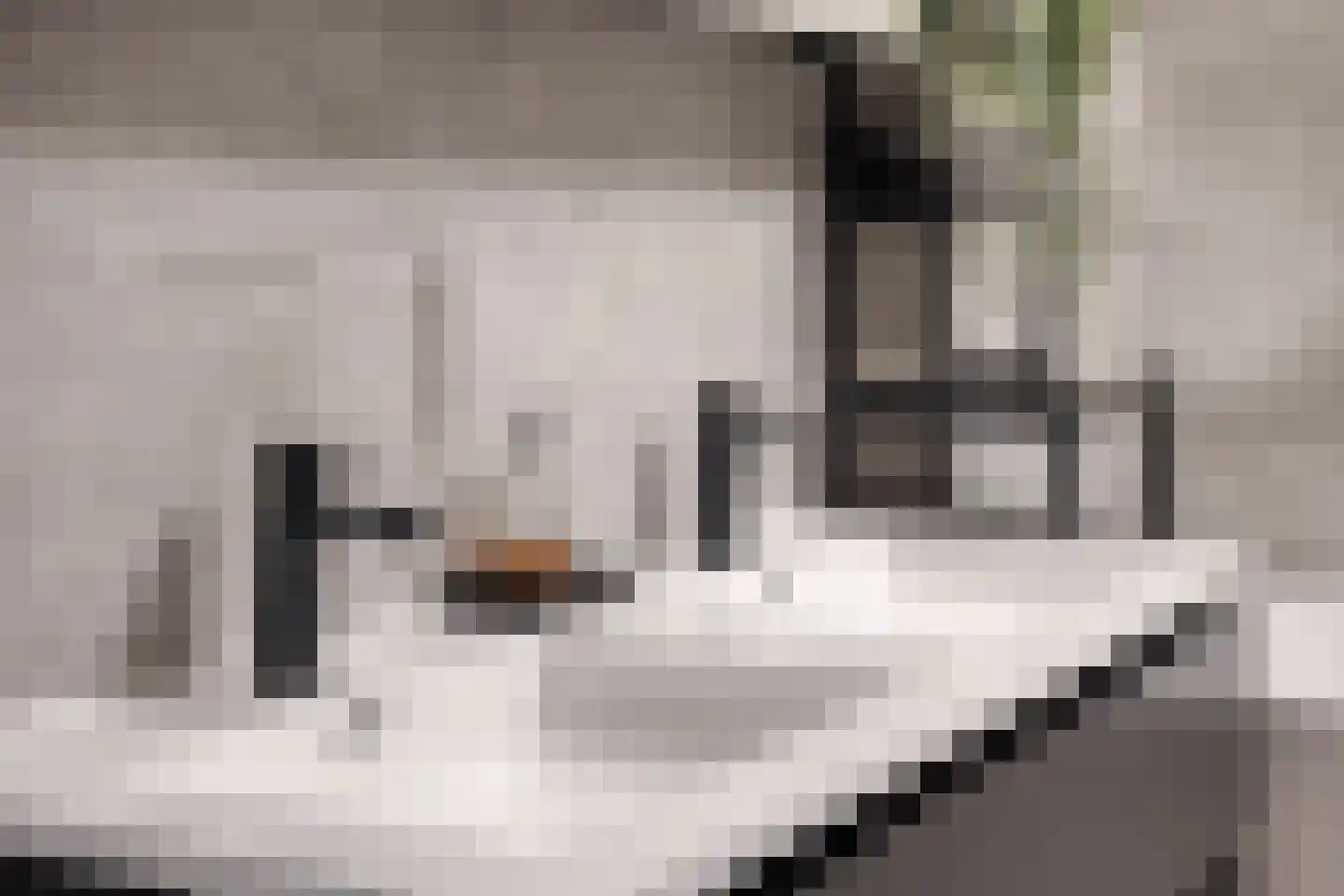Bosven 4 Veghel thumbnail 42