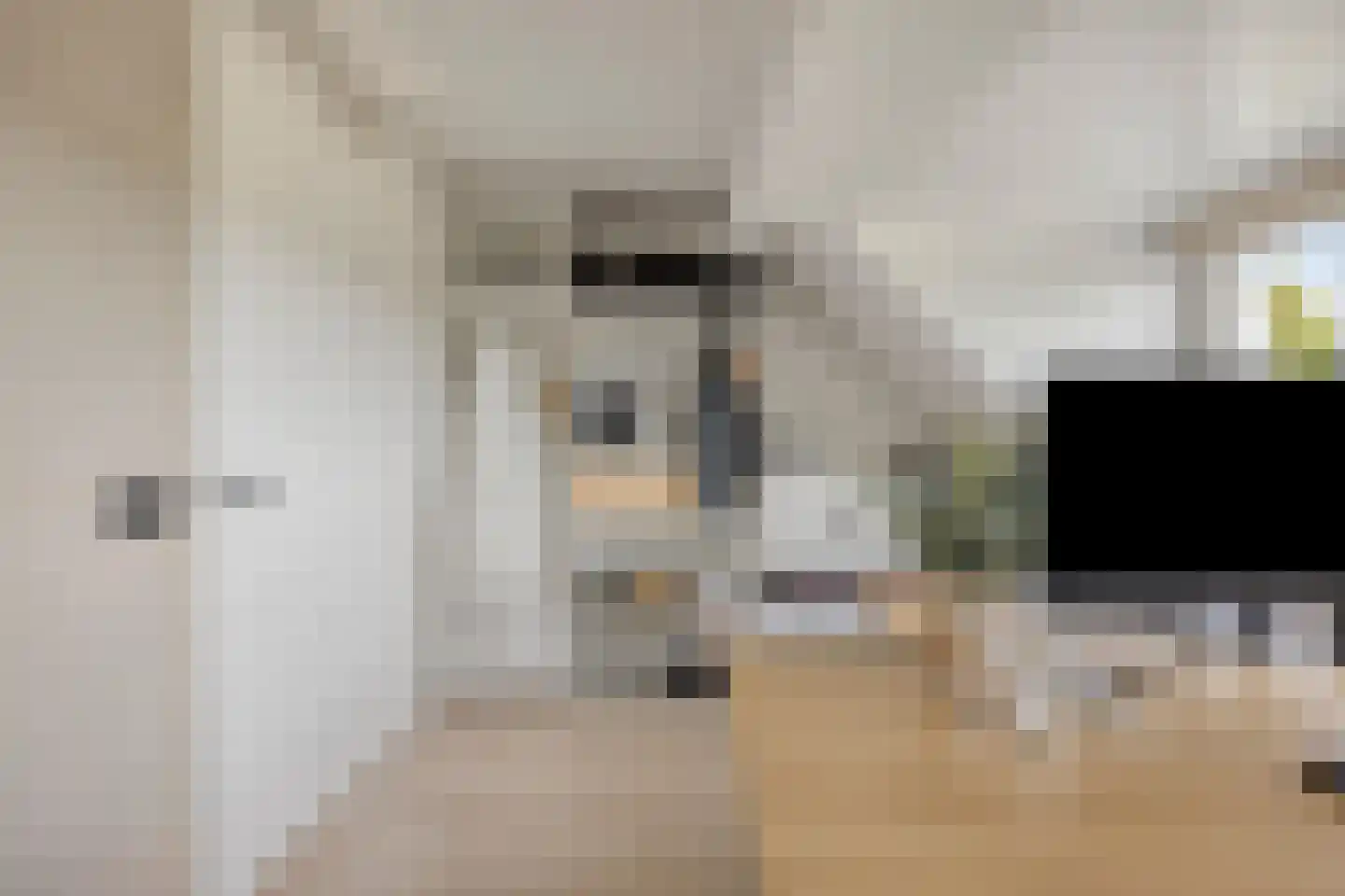 Bosven 4 Veghel thumbnail 50
