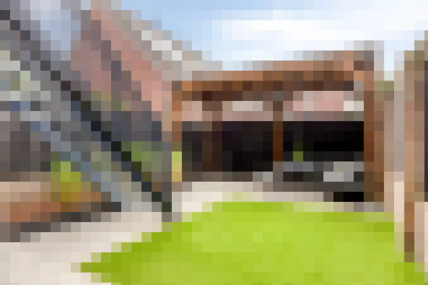 Bosven 4 Veghel thumbnail 57