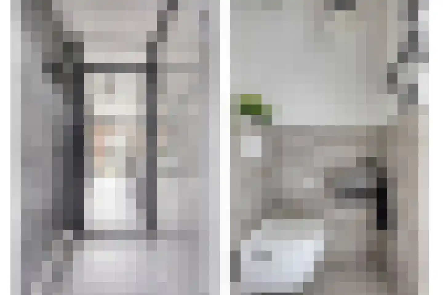 Bosven 4 Veghel thumbnail 6