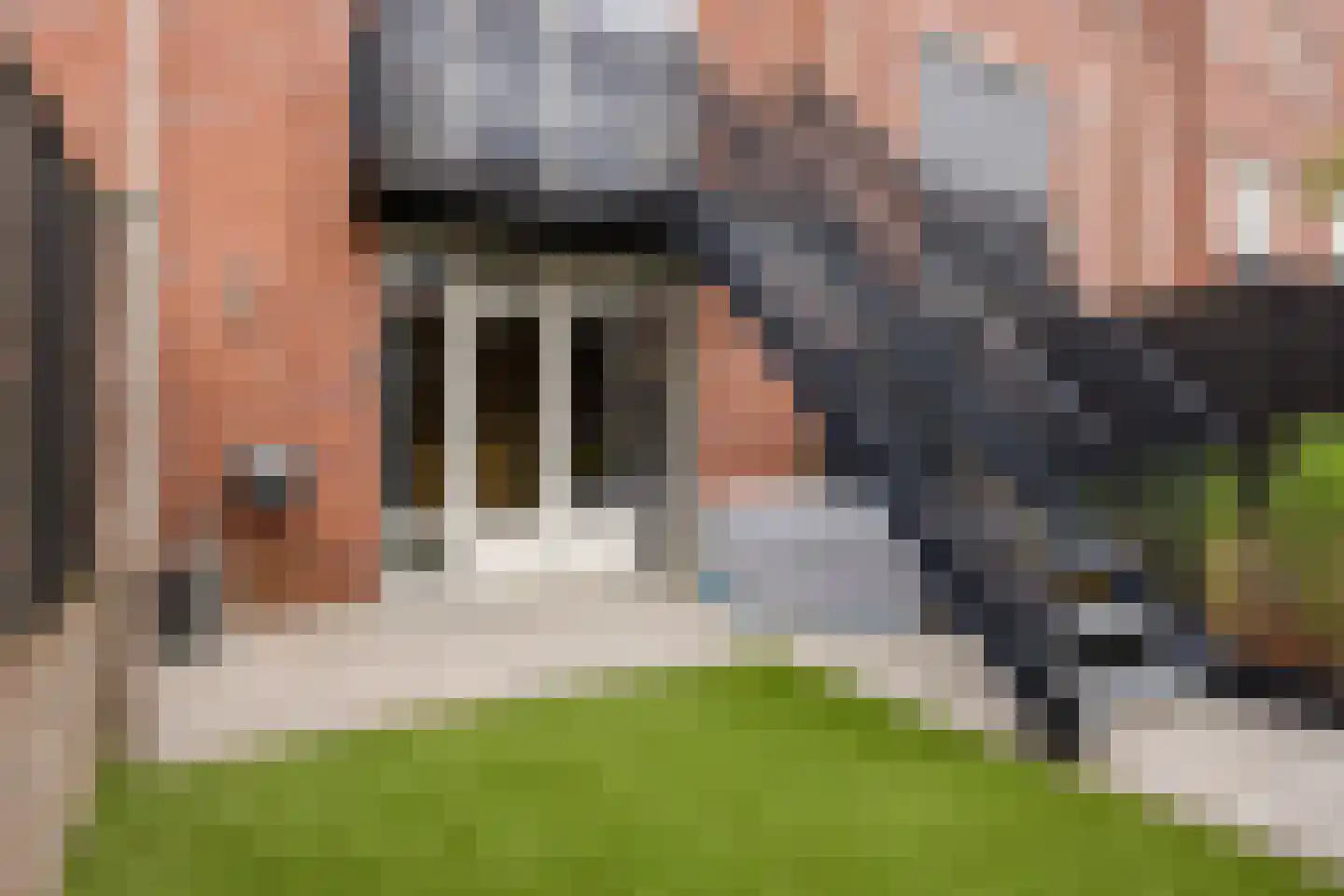 Bosven 4 Veghel thumbnail 62