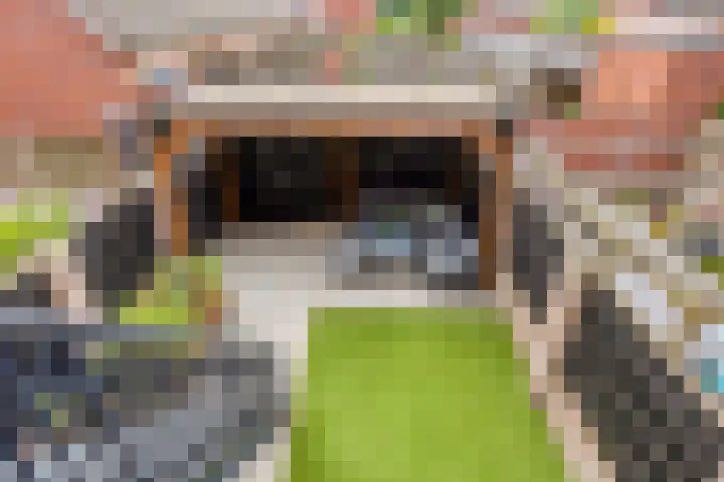 Bosven 4 Veghel thumbnail 64
