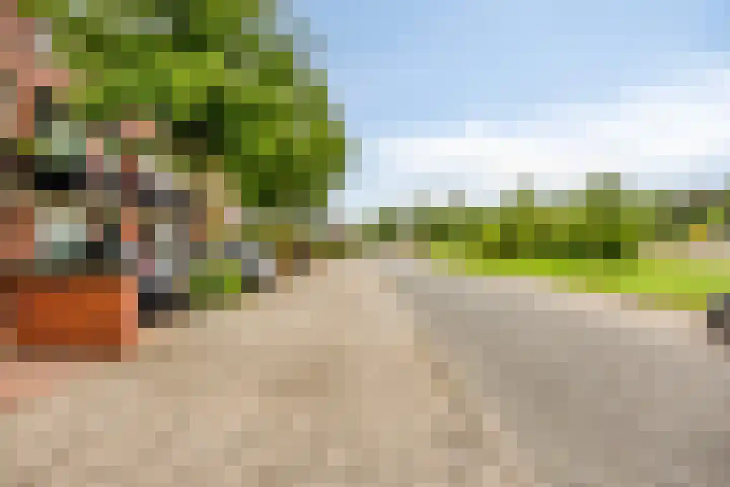 Bosven 4 Veghel thumbnail 67