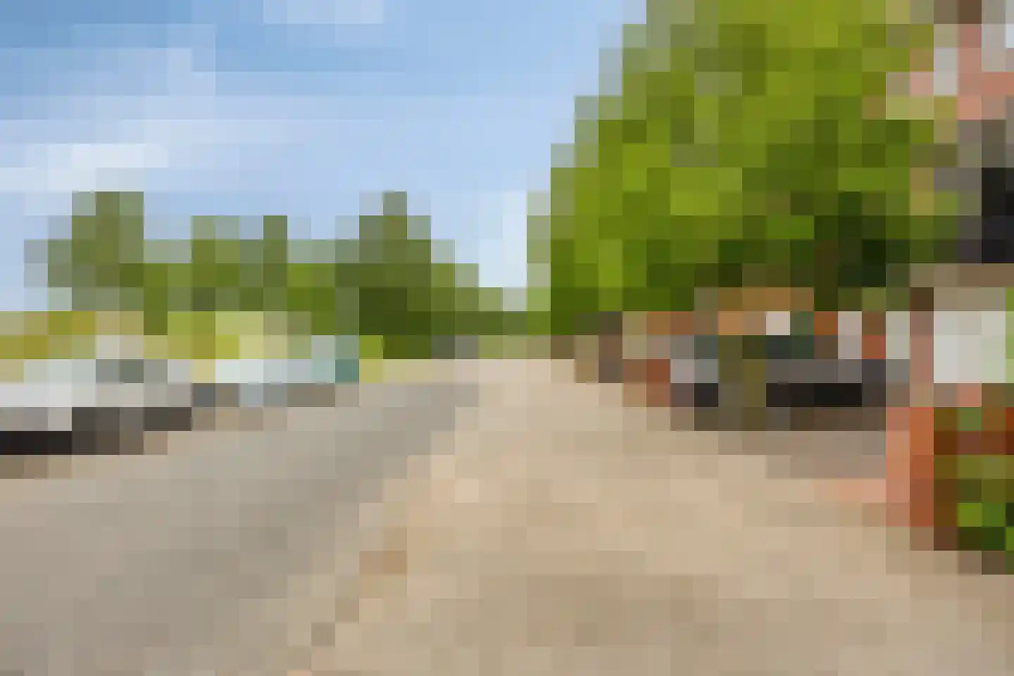 Bosven 4 Veghel thumbnail 68