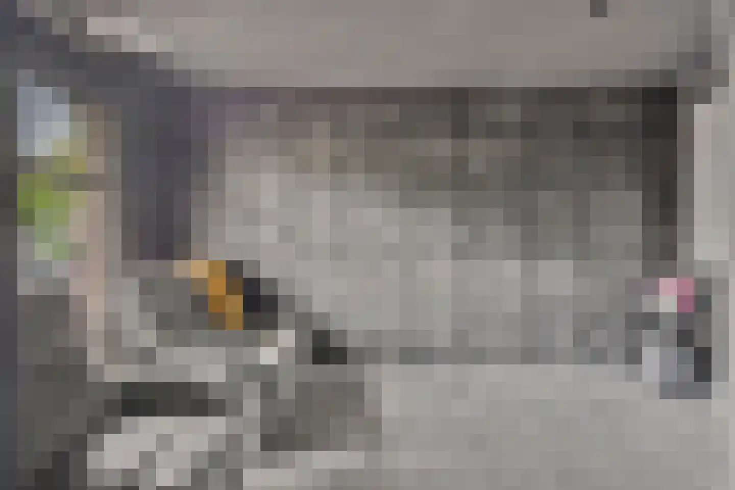 Bosven 4 Veghel thumbnail 7