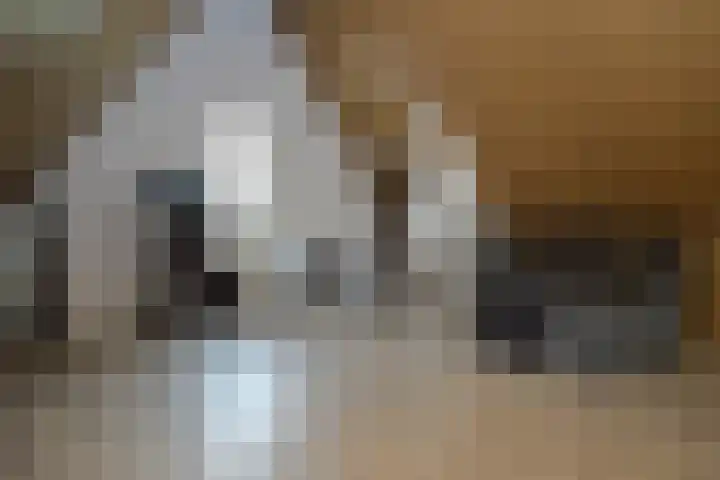 Bosven 74 Deurne thumbnail 19