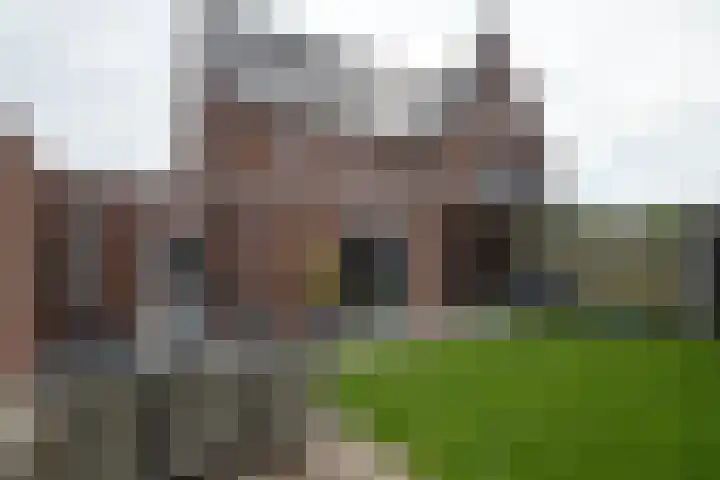 Bosven 74 Deurne thumbnail 20