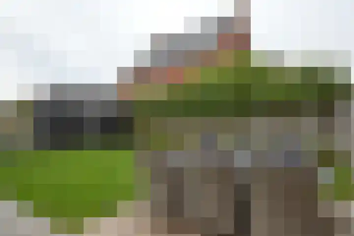 Bosven 74 Deurne thumbnail 22