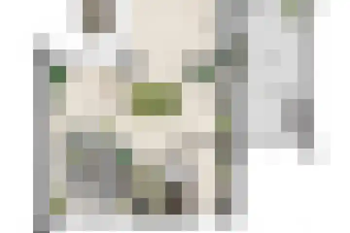 Bosven 74 Deurne thumbnail 28