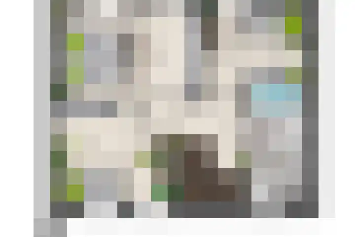 Bosven 74 Deurne thumbnail 29