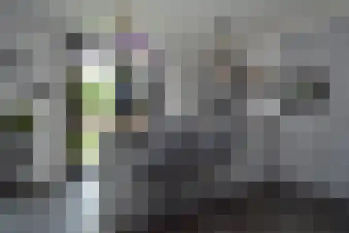 Bosven 74 Deurne thumbnail 7