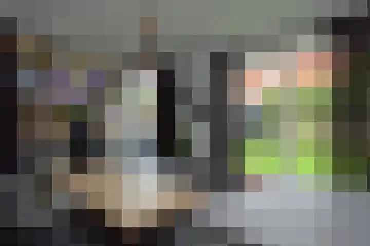 Bosven 74 Deurne thumbnail 8