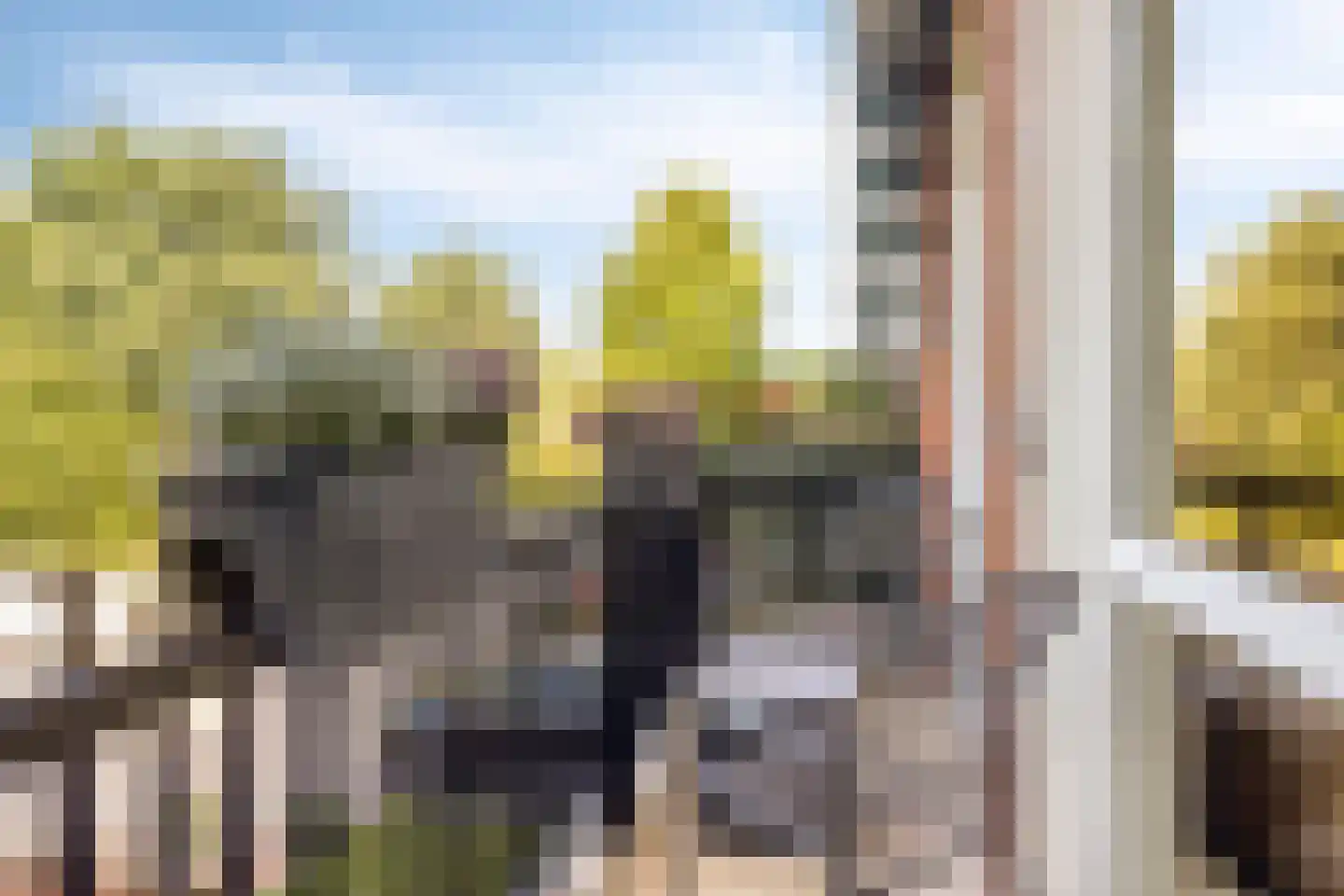 Bosven 77 Veghel thumbnail 18